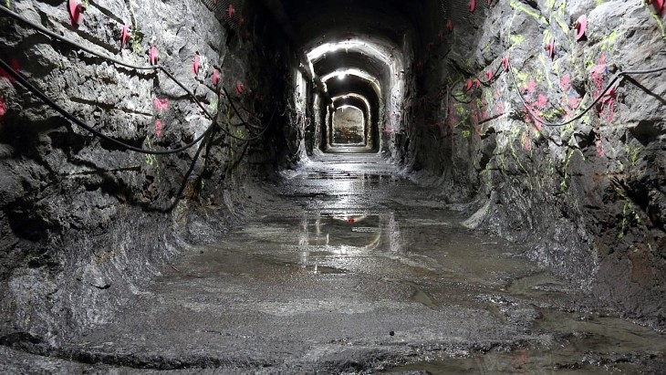 494e473849a5319d46dfff4f0f775e3f