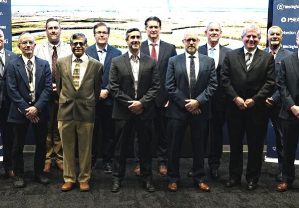 США впервые начнут коммерческое производство кобальта-60 в реакторах PWR