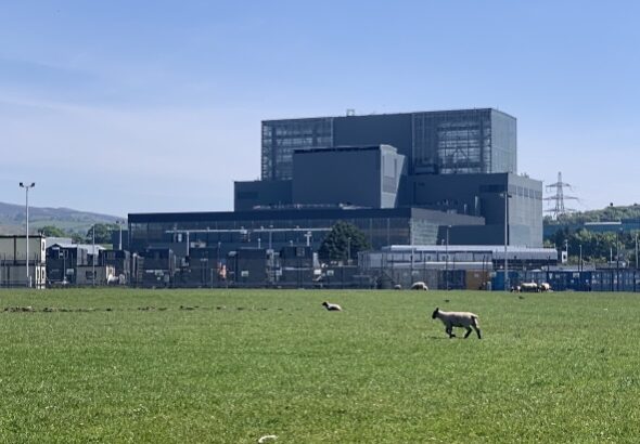 6643226f548659dd766a481932cc15a1